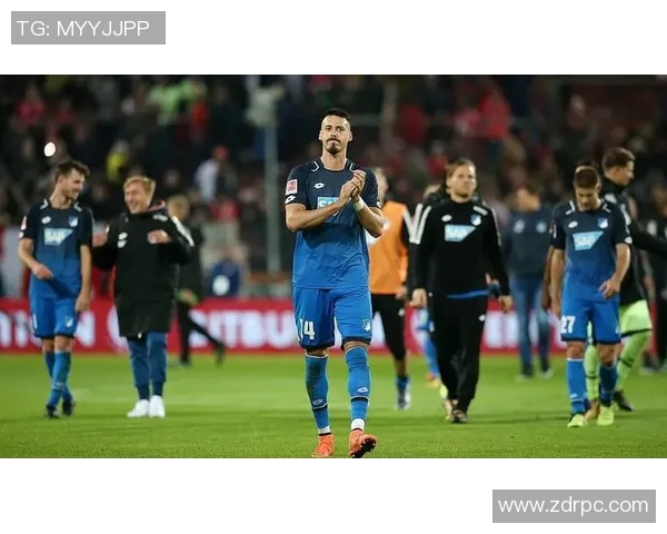 霍芬海姆主力球员受伤，将缺席两周赛事